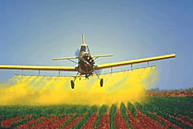 Yellow agricultural aircraft releasing spray over row crops